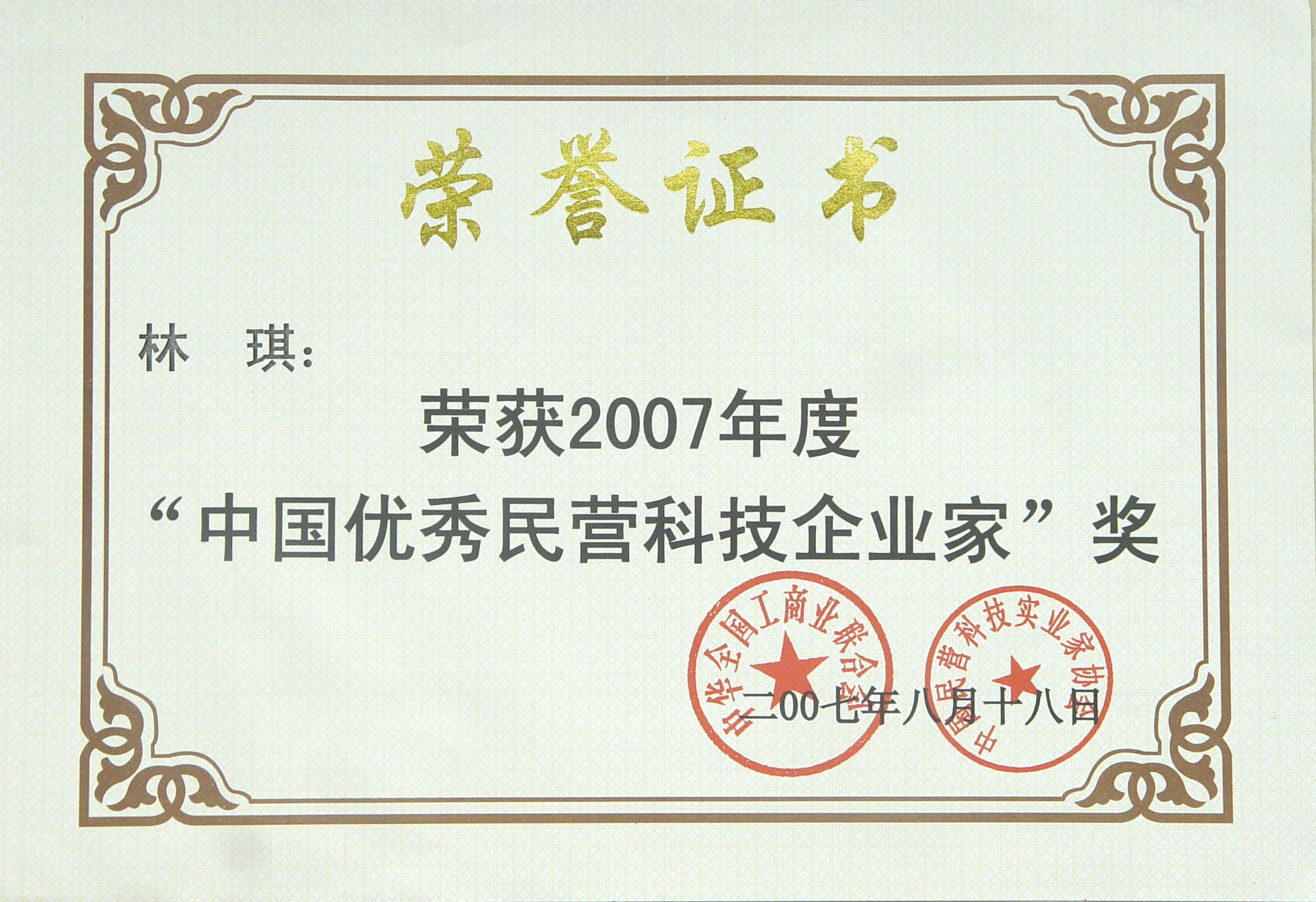 2007年度中国优秀民营科技企业家